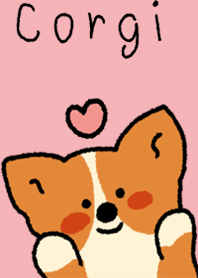 Corgi dog so cute.