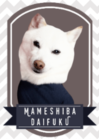 MAMESHIBA DAIFUKU-chevron pattern-