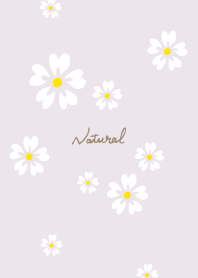 5 white petals8 from Japan