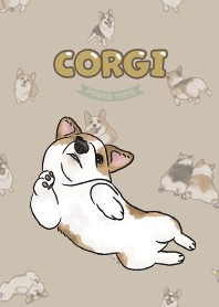 corgicorgi8 / tan