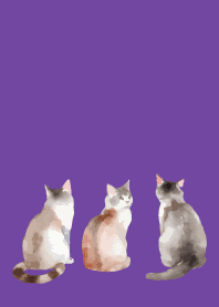 calm cats4 on purple