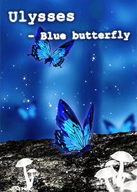Ulysses - Blue butterfly