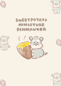 miniature schnauzer sweet potato beige.