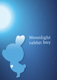 Moonlight rabbit boy 12