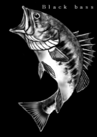 Black bass fishing