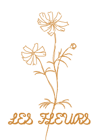 コスモス:ペルーカラー