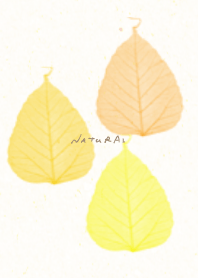 leaf yellow10 from Japan