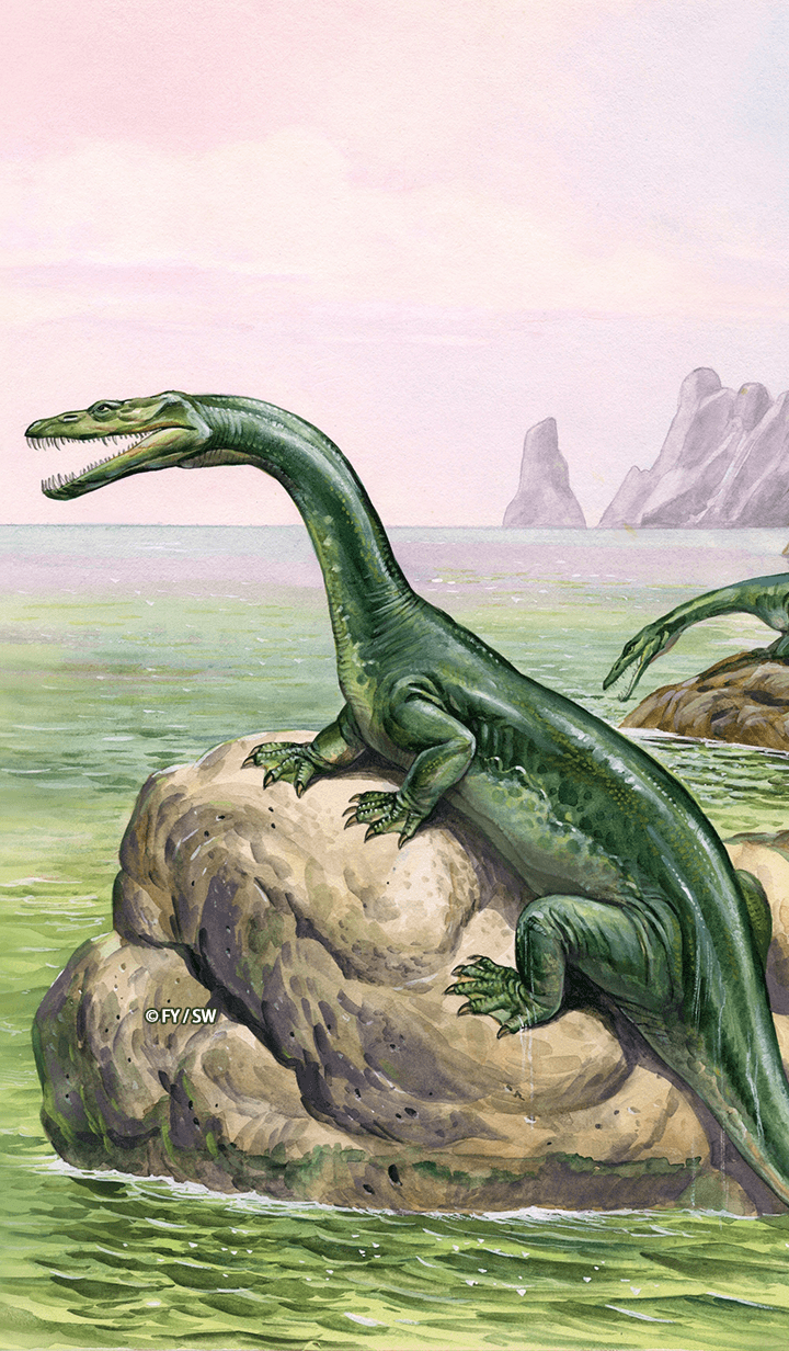 Dinosaur Plesiosaur&Ichthyosaurs