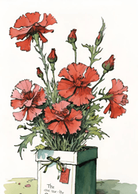 Mother's Day - Carnation 11798a