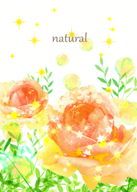 An orange rose that wakes you up.