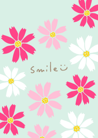 Many cosmoses15 from Japan