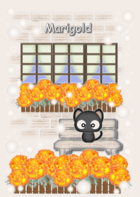マリーゴールド