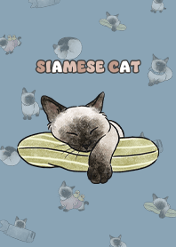 siamesecats4 - pale blue