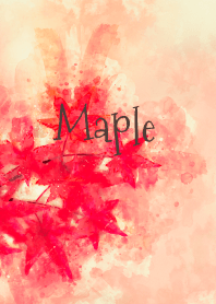 -Maple-