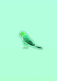 Simple lucky parakeet 2