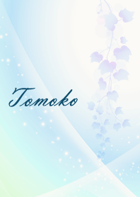 No.658 ともこの幸運導く青く綺麗な着替