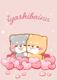 iyashibainu 4