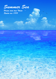 夏の海 Summer Sea#