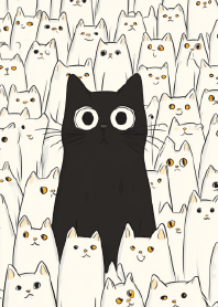 Black Cat Superstar and Fans