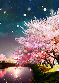 Beautiful night cherry blossoms#1934