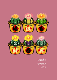 開運吉祥盆栽(玫瑰霧粉)