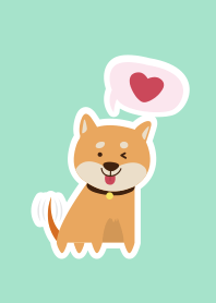 一隻叫做柴柴的柴犬