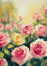 Beautiful rose flower(R4492)