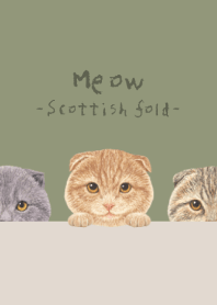 Meow - Scottish fold - OLIVE