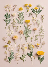 Kawaii pastel flowers 5