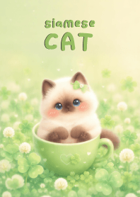 Lovely siamese cat In Clover (JP)