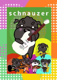 black schnauzer olive 6 ranger 6