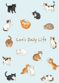 Cute cats daily life. white2