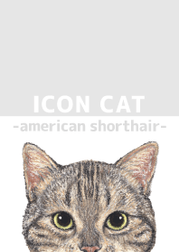 ICON CAT - American Shorthair - GRAY/02