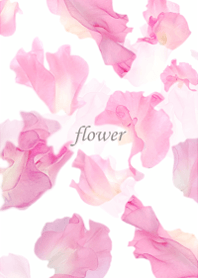 Sweet pea, full of clarity.6.