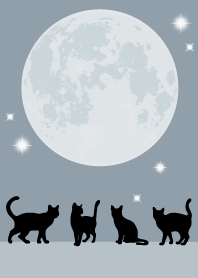 幸運の満月の黒猫/グレーブルー