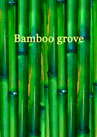 竹林 ～ Bamboo grove～