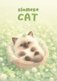 Pretty siamese cat In Clover