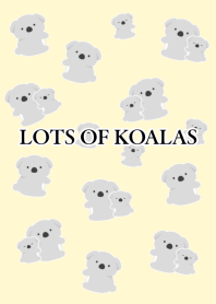LOTS OF KOALAS/LIGHT YELLOW