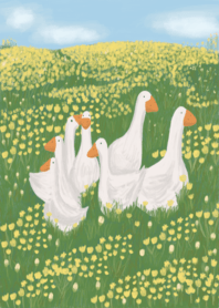 flowers and ducks