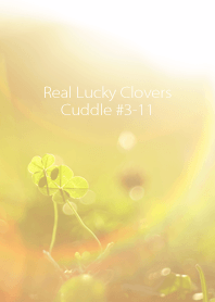 Real Lucky Clovers Cuddle #...