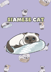 siamesecat7 / violet