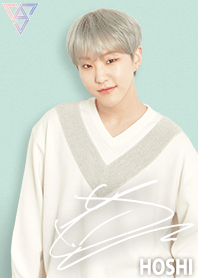 SEVENTEEN 着せかえ HOSHI ホシ