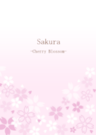 Sakura -CherryBlossom-