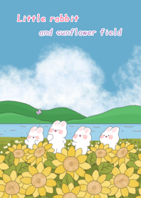 Little rabbit and sunflower field