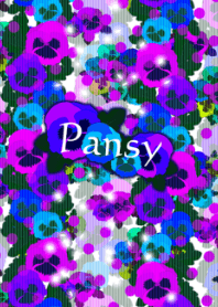 Pansy -Elegant purple-