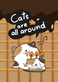 Cats are all around