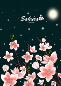 Season series - Snow.Moon.Flower - Night