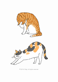 Real Cats