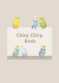 Chirp Chirp Birds - Budgerigar -