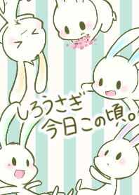 Today's White Rabbit [N]